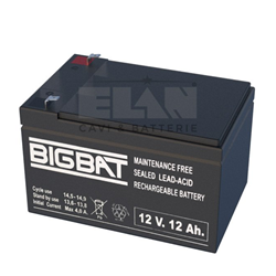 Batteria al Pb 12V - 12Ah