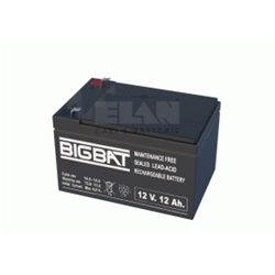 Batteria al Pb 12V - 12Ah
