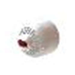 Sirena di allarme multitono da interno per montaggio a parete completa di lampeggiante. Protezione IP21. Colore bianco con lampeggiante rosso.EN54:3 and EN54:23 approved, CPR Certified