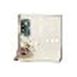 Concentratore in contenitore metallico grande, da 8 in/8 out espandibile a 32 in/32 out. Omolog. IMQ EN50131 Grado di sicurezza 3. Classe ambientale II