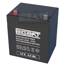 Batteria  12V 4,5Ah