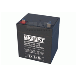 Batteria  12V 4,5Ah