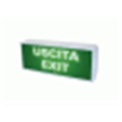 targa ottica a led 12/24v fisso o lampeggiante con buzzer-  5 scritte  intercambiabili verdi