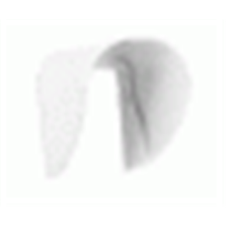 Tettuccio per rilevatore: OPAL, OPAL Plus, OPAL Pro, AOD-200 (bianco)