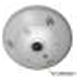 Telecamera Dome da interno TruVision™ 360 gradi IP, 12 MPX, PAL, 1.29mm fisheye lens, True D/N, 15m IR, 2 way audio (2 built-in mic & speaker), Alarm(alarm input and alarm output), SD/SDHC slot, PoE + (802.3-at) /12vdc, gray