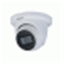 2MP Starlight HDCVI Fixed IR Quick-to-install Eyeball Camera