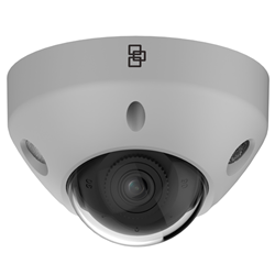 Telecamera TruVision 4MP, FULL COLOR IP Ottica fissa 2,8mm, Wedge, Luce Bianca 30M, Ingresso/uscita audio, Microfono incorporato, Colore Grigio