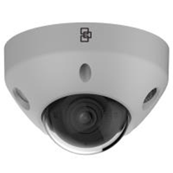 Telecamera TruVision 4MP, FULL COLOR IP Ottica fissa 2,8mm, Wedge, Luce Bianca 30M, Ingresso/uscita audio, Microfono incorporato, Colore Grigio