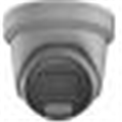 Telecamera TruVision 4MP, FULL COLOR IP Ottica fissa 2,8mm, Turret, Luce Bianca 30M, Microfono e altoparlante incorporati, Luce strobo di allarme incorporata, Colore Grigio