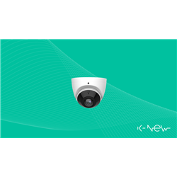 Telecamera IP 5MP Eyeball HD, 180°, IR, Ottica Fissa, Antivandalo