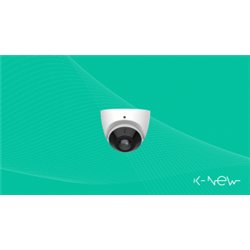 Telecamera IP 5MP Eyeball HD, 180°, IR, Ottica Fissa, Antivandalo
